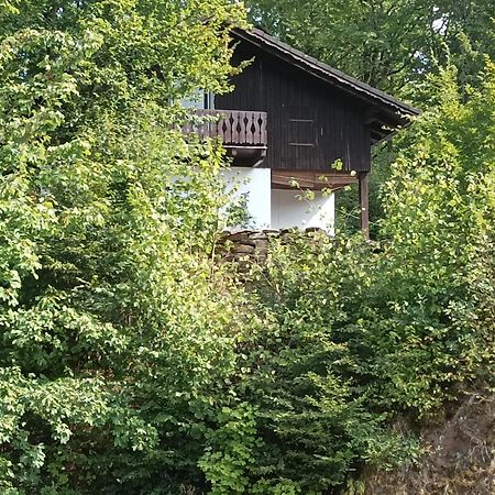 Burgberg Schoellnstein Iggensbach Extérieur photo