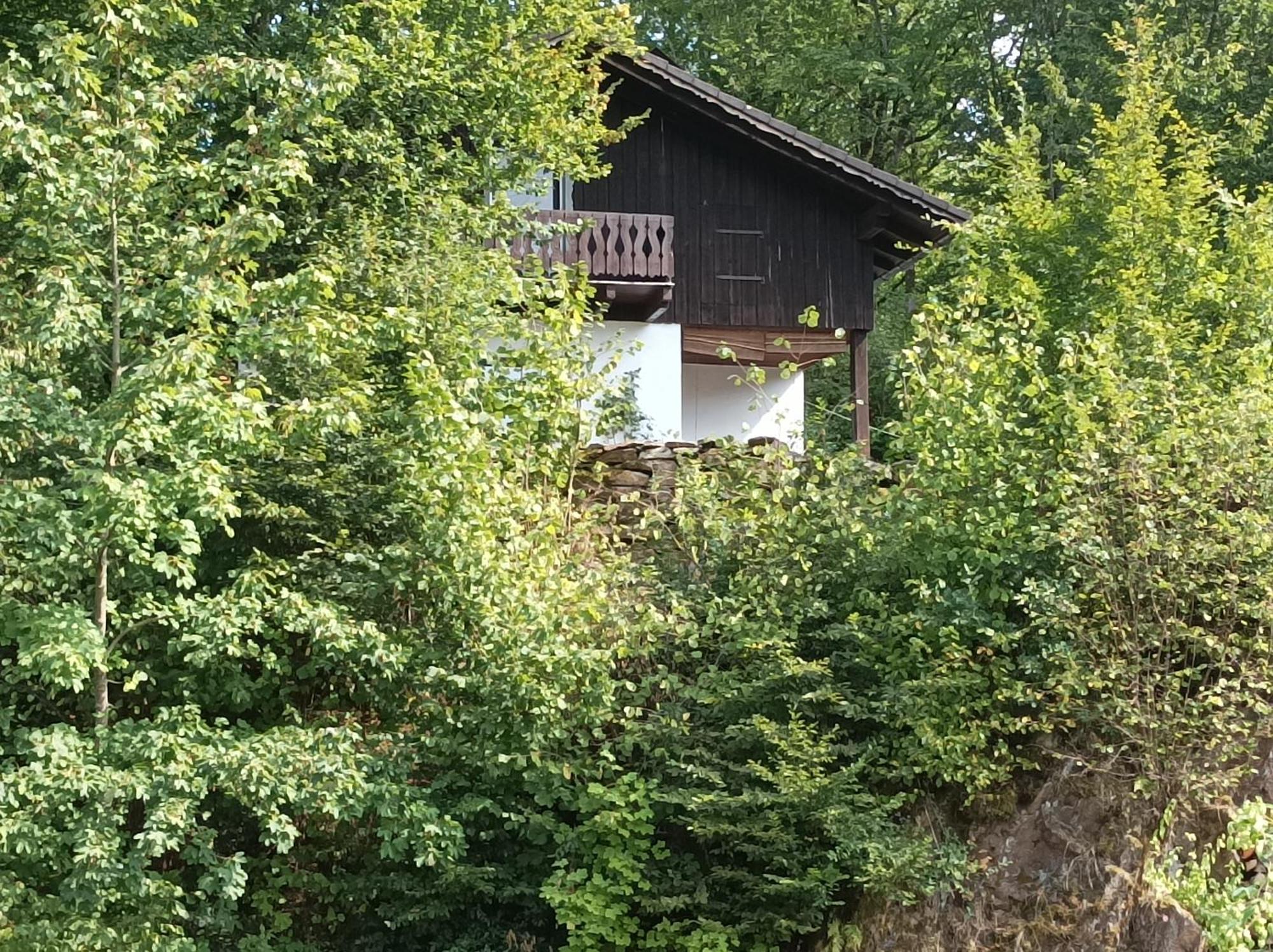 Burgberg Schoellnstein Iggensbach Extérieur photo