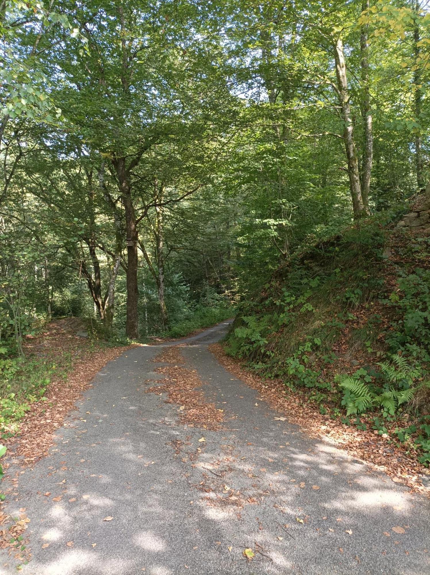 Burgberg Schoellnstein Iggensbach Extérieur photo